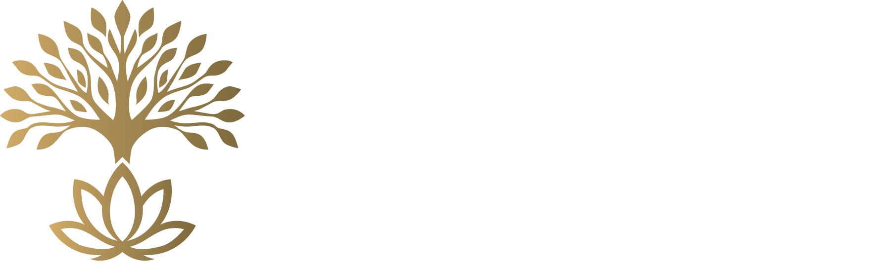 Geriatri Akademi
